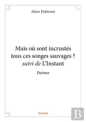 Mais Ou Sont Incrustes Tous Ces Songes Sauvages ? Suivi De L'Instant