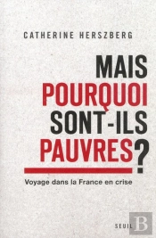 Mais Pourquoi Sont-Ils Pauvres ? ; Voyage Dans La France En Crise