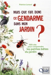 Mais Que Fait Donc Ce Gendarme Dans Mon Jardin ?
