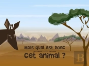 Mais Quel Est Donc Cet Animal ?