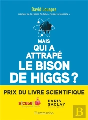 Mais Qui A Attrape Le Bison De Higgs ?