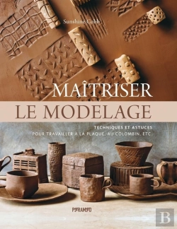 Bertrand.pt - Maîtriser Le Modelage : Techniques Et Astuces Pour Travailler À La Plaque, Au Colombien, Etc