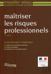 Maîtriser Les Risques Professionnels (2e Édition)