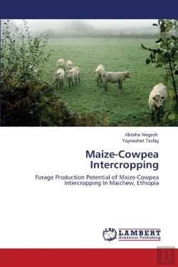 Bertrand.pt - Maize-Cowpea Intercropping