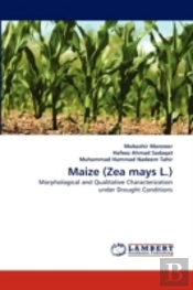 Maize (Zea Mays L.)
