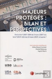 Majeurs Protégés : Bilan Et Perspectives