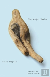 Major Verbs