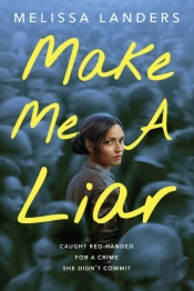 Make Me A Liar (International Paperback Edition)