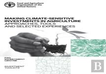 Making Climate-Sensitive Investments In Agriculture