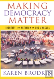 Making Democracy Matter