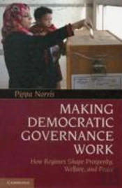 Making Democratic Governance Work