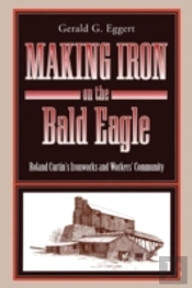 Making Iron On The Bald Eagle