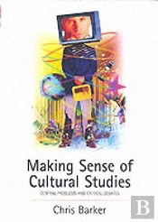 Making Sense Of Cultural Studies
