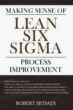 Bertrand.pt - Making Sense Of Lean Six Sigma Process Improvement