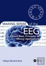 Making Sense Of The Eeg