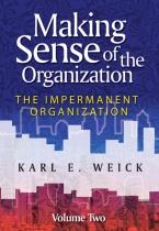 Making Sense Of The Organization, Volume 2