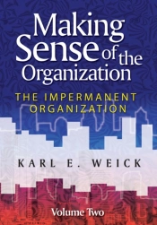 Making Sense Of The Organization, Volume 2