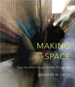 Bertrand.pt - Making Space