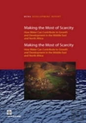 Making The Most Of Scarcity