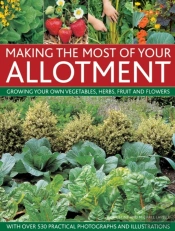 Making The Most Of Your Allotment