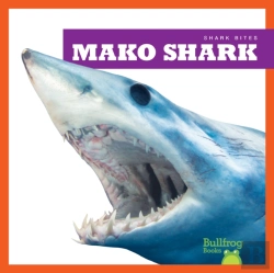 Bertrand.pt - Mako Shark