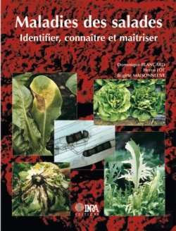 Bertrand.pt - Maladies Des Salades