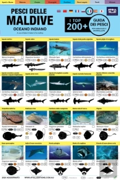 Maldive Guida Dei Pesci