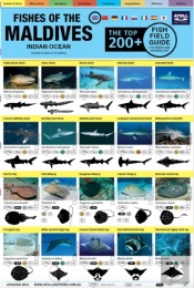 Maldives Fish Field Guide 'Top 200+'