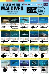 Maldives Fish Field Guide 'Top 200+'