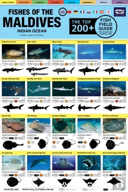 Bertrand.pt - Maldives Fish Field Guide 