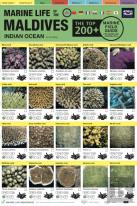 Maldives Marine Life Field Guide