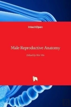 Bertrand.pt - Male Reproductive Anatomy