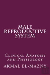 Male Reproductive System