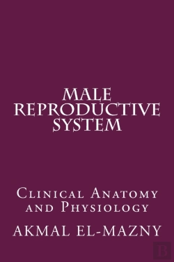 Bertrand.pt - Male Reproductive System