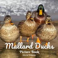 Mallard Ducks Picture Book