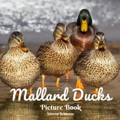 Mallard Ducks Picture Book