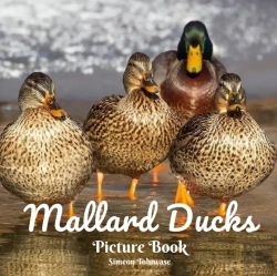 Bertrand.pt - Mallard Ducks Picture Book