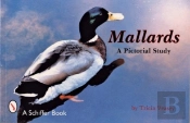Mallards