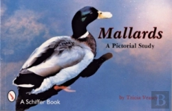 Bertrand.pt - Mallards
