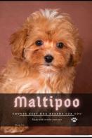 Maltipoo