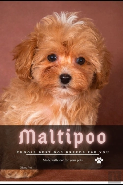 Bertrand.pt - Maltipoo