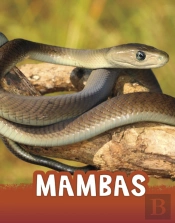 Mambas