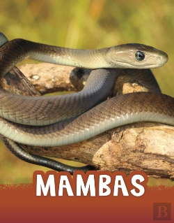 Bertrand.pt - Mambas