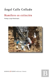 Mamífero En Extinción