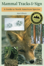 Mammal Tracks And Sign