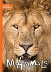Mammals