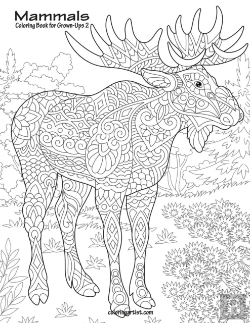 Bertrand.pt - Mammals Coloring Book For Grown-Ups 2