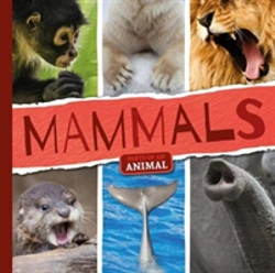 Bertrand.pt - Mammals