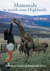 Mammals In North-East Highlands