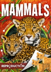 Mammals